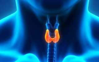 Эутиреоидный зоб щитовидной железы и его симптомы