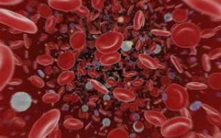Сегментоядерные в анализе крови