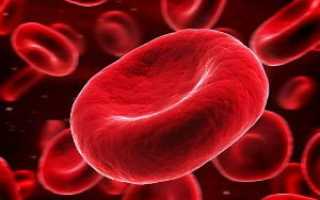 Гематокрит в анализе крови