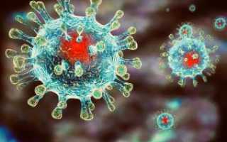 Все о ПЦР-тесте на коронавирус