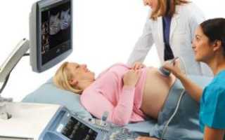 Питание перед УЗИ при беременности