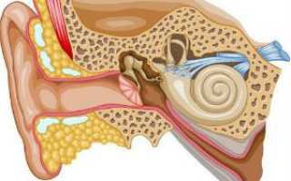 Симптомы неврита слухового нерва и его лечение