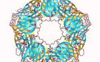 С-реактивный белок при коронавирусе
