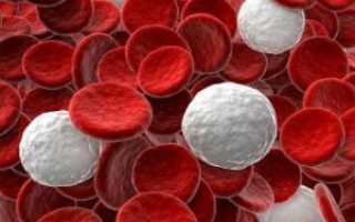 Пониженные лейкоциты в крови