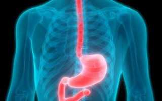 Рентген пищевода и желудка